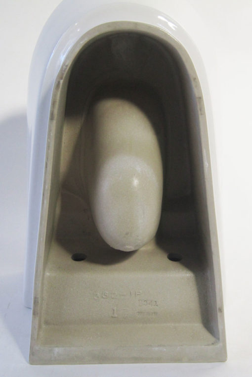 Wall hung toilet