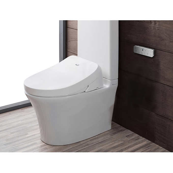 Bidet-seat-mounted-on-toilet