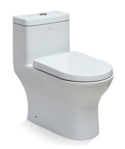 TB353 Dual Flush watersense Toilet