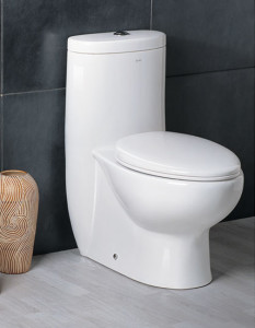 dual flush toilet