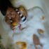 Do Steam Showers Improve your Skin ?